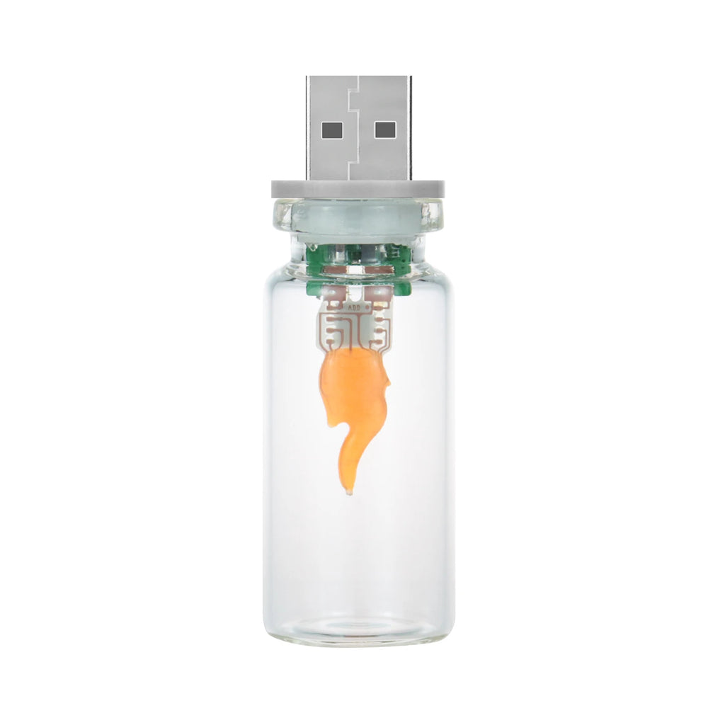 USB LED Flame Candle Light – Flickering Glass Candle Night Light